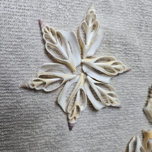 Puede incluir: Una flor de concha blanca hecha de múltiples conchas pequeñas dispuestas en forma de estrella. Las conchas son blancas y tienen un diseño delicado e intrincado.