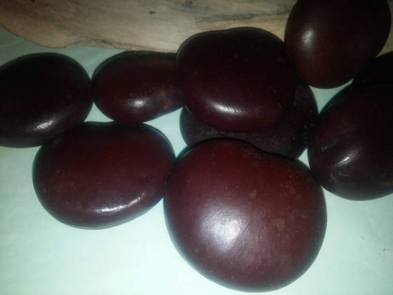 1 to 25 pieces Lucky Sea Bean Heart Bean Seabean Heartbean Etsy