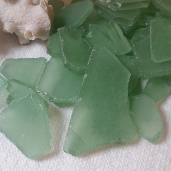 Mélange de verres de couleur vert moyen en vrac Verre de plage en vrac 1/4 à 3 livres Verre roulé vert d'eau