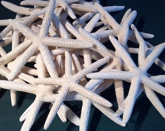 50 pcs  White Finger Starfish Bulk 50 pcs  4 to 5&quot; 4 to 5 1/2&quot; 4 to 6&quot; inch Beach Nautical Decor ,Crafts,Weddings,Great for Home decor
