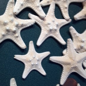 3pcs Natural Starfish Sea Star Shells Seashells For Crafts Nautical Decor  6-8 cm