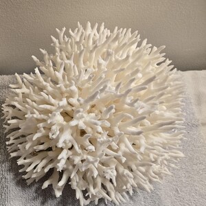 Custom listing for Maureen Real Bird nest tree like Coral Reef