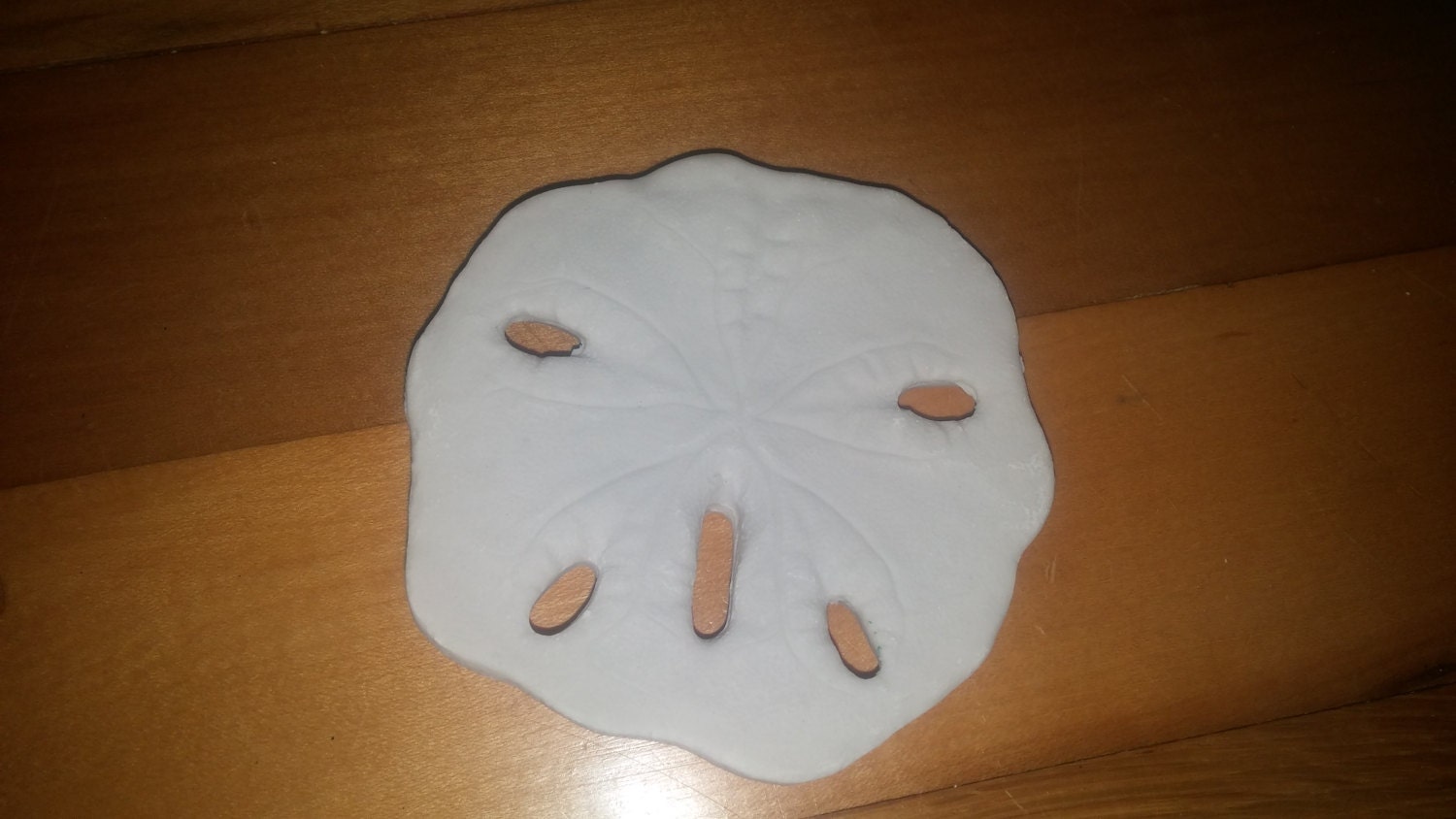 30 faux Resin Sand Dollar Fake Sanddollar 3 inches white Etsy
