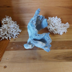 Real Blue Ridge Coral Reef Small to Medium Genuine Coral Natural 6 to 9 1/2 inches approx. sea life Decor,Wedding Table Decor,Centerpiece image 9