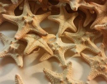 1 to 50 Pcs Tiny Mini Small Starfish tan sugar knobby starfish 1 to 2  1/2 inch Armored Knobby Starfish  wedding,crafts,beach decor,Jewelry