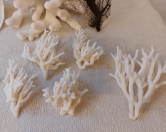 C Bird Nest Birds Nest Coral pieces Off White Ivory Small Medium 35 wedding Anniversary