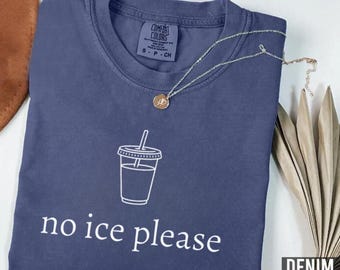 No Ice Please Shirt, Abolish ICE Shirt, Social Justice Tee, Political Activist Gift, Immigration Rights Shirt, Comfort Colors Graphic Tee