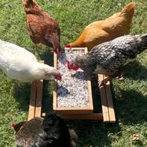 Chicknic Table - Etsy