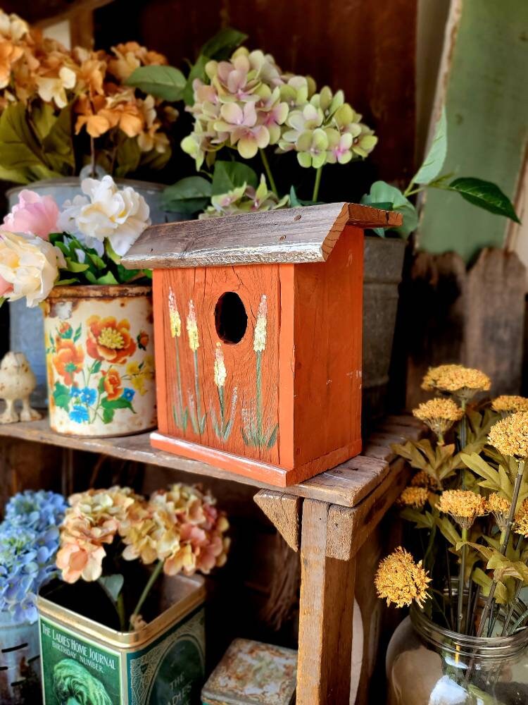 Orange wood birdhousepainted birdhouseoutdoor birdhousethe birdhouse