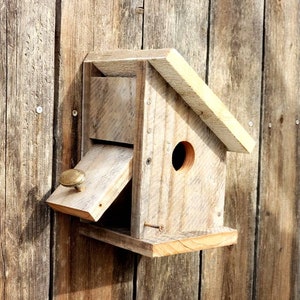 Custom birdhouse,personalized bird house,outdoor garden gift,birdhouse of orange,outdoor birdhouse,bird house for outdoors,gardener gift