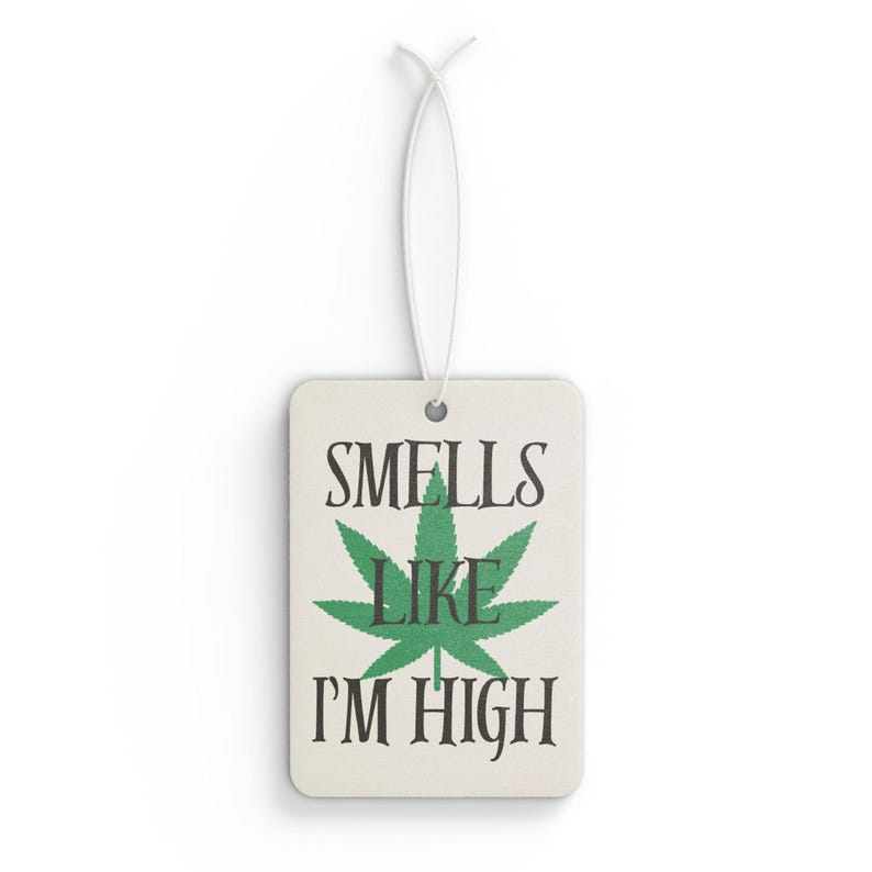Funny Car Air Freshener, Relaxation Gift, New Car/Pine/Black Ice Scent image 2
