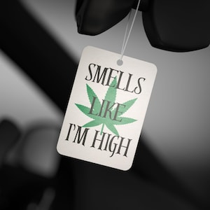 Funny Car Air Freshener, Relaxation Gift, New Car/Pine/Black Ice Scent image 1
