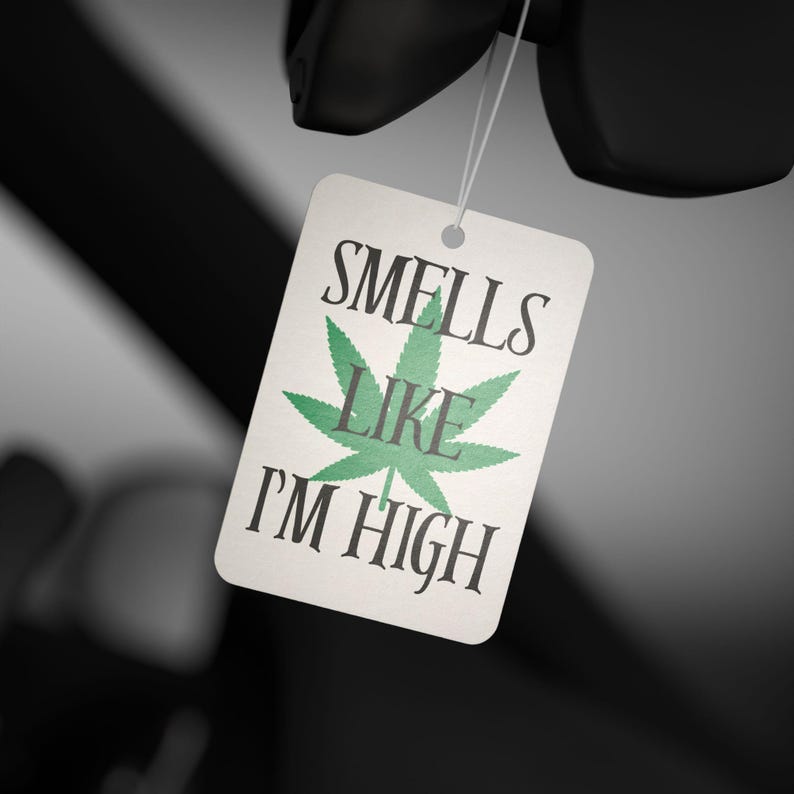 Funny Car Air Freshener, Relaxation Gift, New Car/Pine/Black Ice Scent image 1
