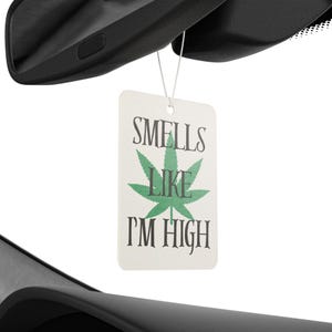 Funny Car Air Freshener, Relaxation Gift, New Car/Pine/Black Ice Scent image 3