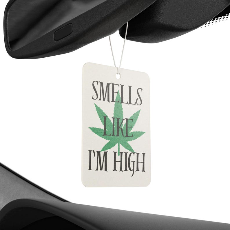 Funny Car Air Freshener, Relaxation Gift, New Car/Pine/Black Ice Scent image 3