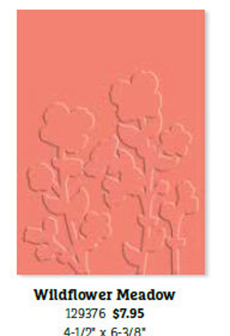 Stampin/' Up! For Use with the Big Shot and Other Die Cutting Machines Wildflower Meadow Textured Impressions Embossing Folder