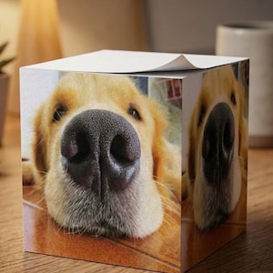 May include: A square paper memo cube featuring a close-up photograph of a golden retriever dog's face on the front and side panels. The dog has light golden fur and a prominent black nose, captured from a low angle perspective on a tiled floor.
