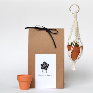 Mini Macrame Plant Hanger, Terracotta Pot, Boho Vehicle Accessories