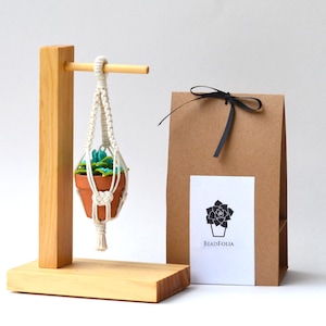 Glass Bead Succulent in Mini Macramé Hanger and Display Stand