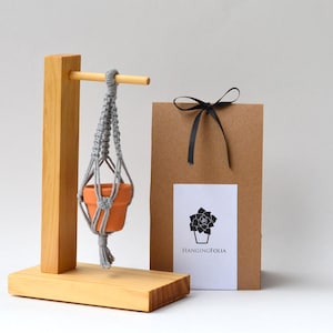 Mini Macrame Plant Hanger with Wood Table Stand, Handcrafted Plant Display