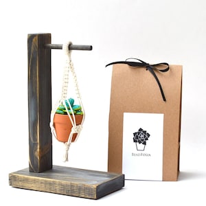 May include: A small terracotta pot with a green and blue succulent is suspended in a macrame plant hanger. The hanger is attached to a dark wooden stand. A brown paper bag with a black bow and a white label with a floral design is next to the stand.