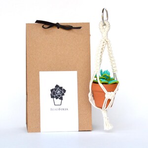 May include: A small terracotta pot with a green and blue succulent plant hangs from a cream-colored macrame plant hanger. A brown paper gift bag with a black ribbon and a card with a succulent logo are on the left.