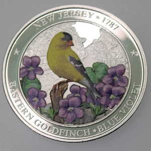 New Jersey .999 Silver proof Round
