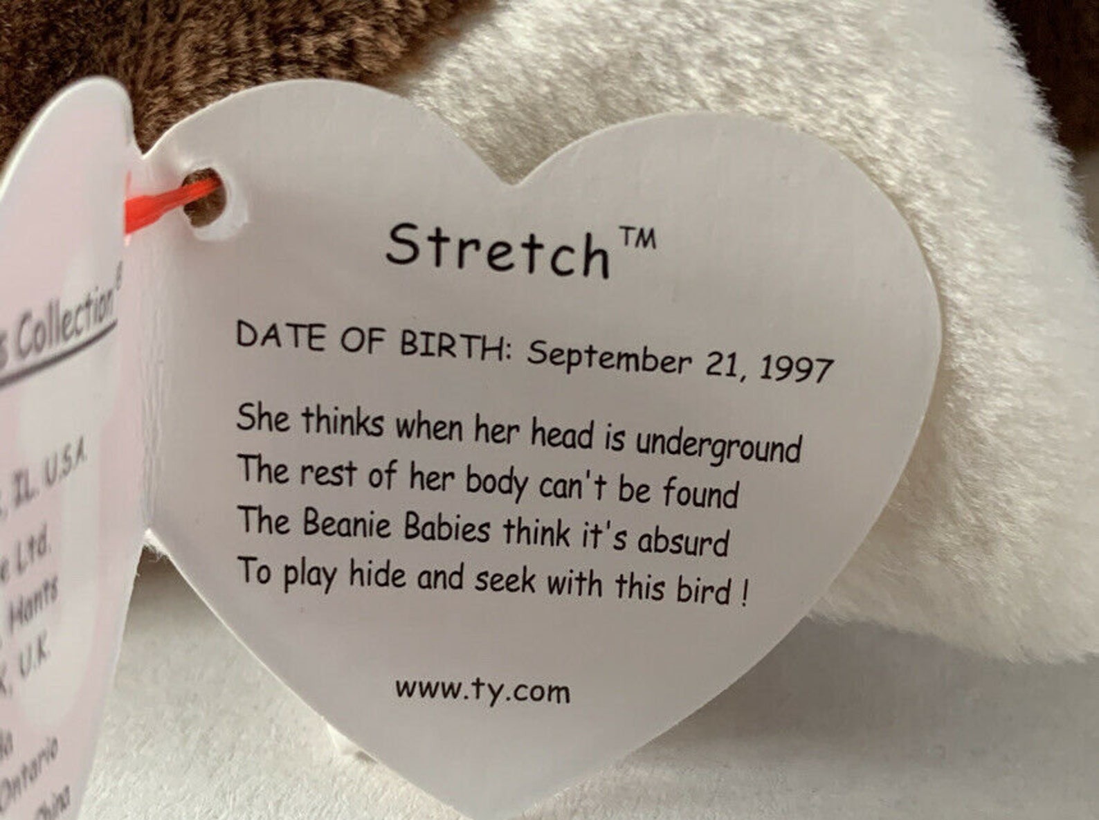 TY Beanie Baby Stretch the Ostrich 1997 Rare with Error. Etsy