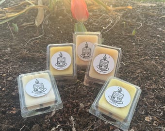 Spring Beeswax Wax Melts