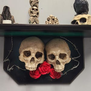 Love's Eternal Binds skull shelf