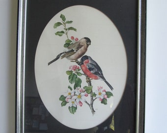 SALE--Framed Vintage Bird Print--Vintage Artwork, Bird and Botanical Art