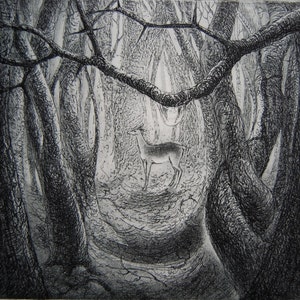 Deer-drop, etching by Flora McLachlan, woodland, trees, branch, raindrop, dewdrop, water, doe, woods, forest