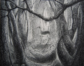 Deer-drop, etching by Flora McLachlan, woodland, trees, branch, raindrop, dewdrop, water, doe, woods, forest