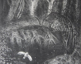 Leaves and stars, etching by Flora McLachlan, reflections, owl, pool, woodland, forest, dark, night, autumn, water