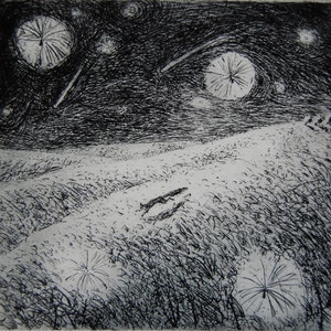 Puede incluir: Un grabado en blanco y negro representa una escena nocturna con un campo y un cielo oscuro y arremolinado lleno de estrellas y rayas similares a cometas. El primer plano muestra un campo cubierto de hierba con un animal corriendo.
