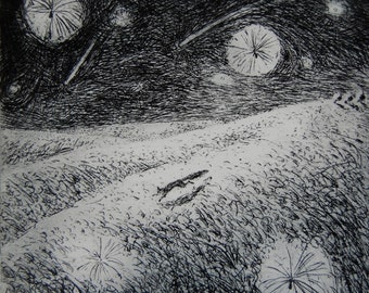 Thistledown, etching by Flora McLachlan, night, shooting stars, seeds, running fox, hills, small black and white hand pulled