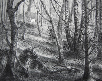 The white hart, etching by Flora McLachlan, sunlight in the woods, deer, holly, trees, shadows, forest, wood anemone