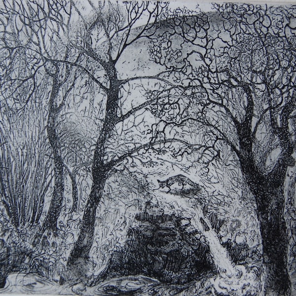 In a wild place, etching by Flora McLachlan, waterfall, fox, river, water, trees and hills, landscape