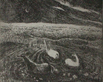 Horses bathing etching by Flora McLachlan, swimming, water, moon and stars, night and buttercups