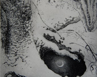 Winter moon, etching by Flora McLachlan, snow, pool, tree, frost, night, water, stream, forest, reflections, shining