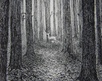 A forest, etching by Flora McLachlan, deer alone in a dark forest, tall pine trees