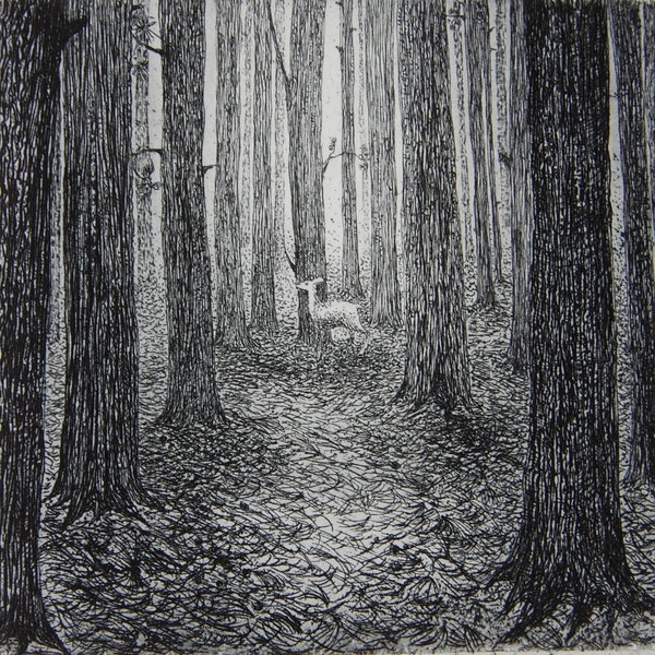 A forest, etching by Flora McLachlan, deer alone in a dark forest, tall pine trees