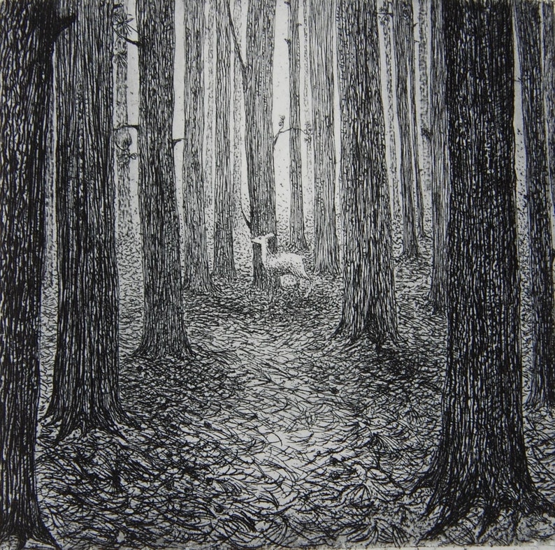 A forest, etching by Flora McLachlan, deer alone in a dark forest, tall pine trees image 1