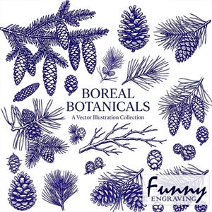 Puede incluir: Una colección de ilustraciones botánicas azules y blancas con piñas, agujas de pino y ramas. Se muestra el texto "BOREAL BOTANICALS A Vector Illustration Collection". La imagen también incluye el texto "Funny Engraving".