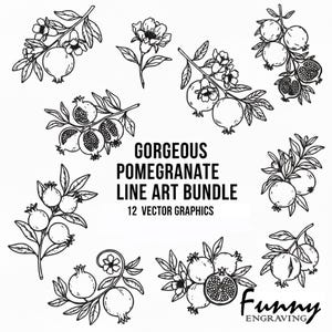 Puede incluir: Ilustraciones en blanco y negro de granadas y flores. El texto "GORGEOUS POMEGRANATE LINE ART BUNDLE" y "12 VECTOR GRAPHICS" se muestra. El logotipo "Funny Engraving" está en la esquina inferior derecha.