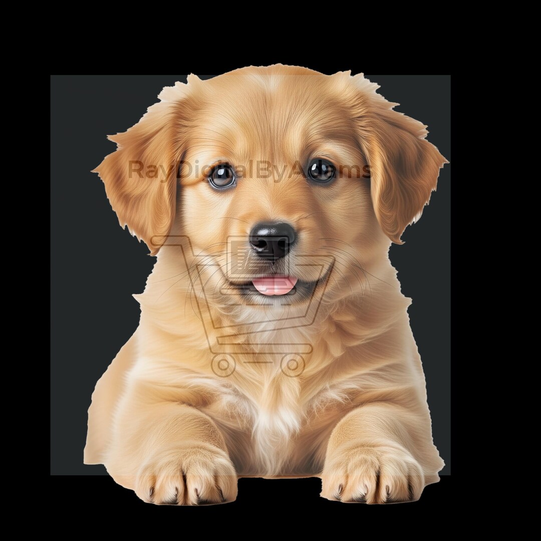 High Resolution Puppy PNG Cute Dog Clipart Transparent Background ...