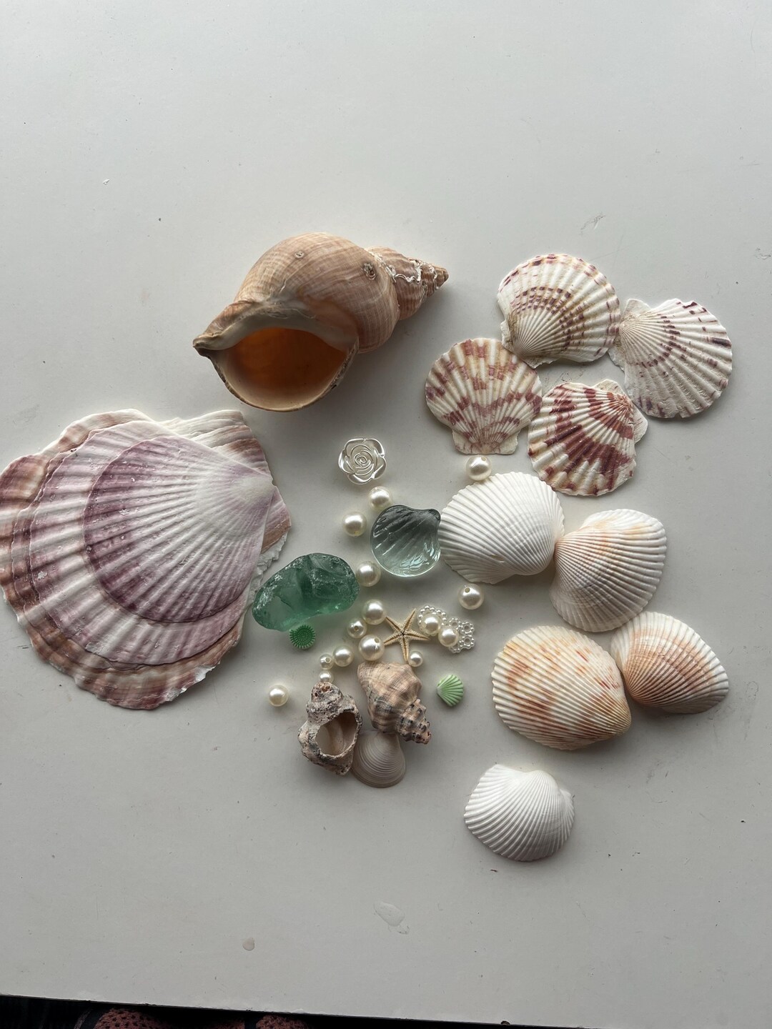 Seasshell Accessory Seashell Jewellery Holder Kit (seashells and Glass Collection) - Etsy