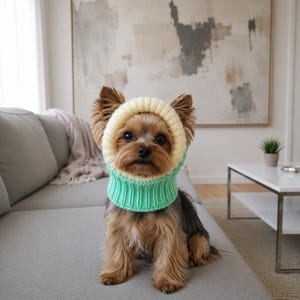 May include: A small Yorkshire Terrier dog wearing a two-toned knit balaclava. The headpiece features a pale yellow ribbed border around the face and a bright mint green ribbed neck section that fits snugly around the dog's neck and chin area.