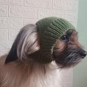 May include: A green knitted hat, designed to fit a dog's head, covers the ears and top of the head. The hat is a solid olive green color and appears to be handmade. The dog has light brown and white fur.