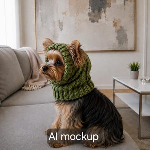 Yorkshire terrier mössa stickmönster PDF | Enkel hundmössa med öronöppningar
